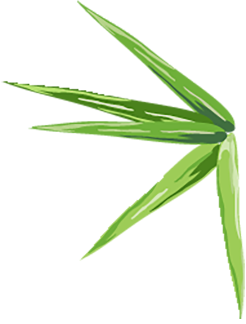 在商场沉浸式体验“公园20分钟效应” 在商场沉浸式体验“公园20分钟效应”