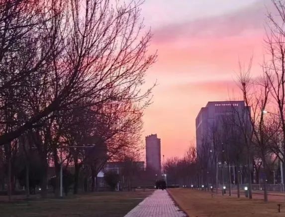 沉浸式!体验侦查人的一天 沉浸式!体验侦查人的一天