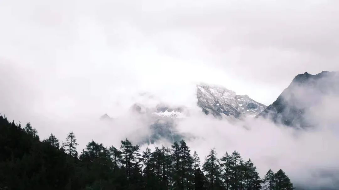 用户生成内容 用户生成内容