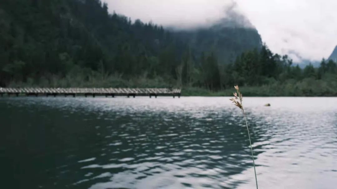 用户生成内容 用户生成内容