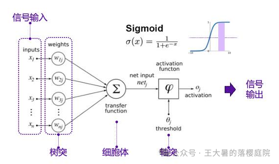 #107 CT重建的3D深度学习技术——深度学习图像重建算法分类 #107 CT重建的3D深度学习技术——深度学习图像重建算法分类
