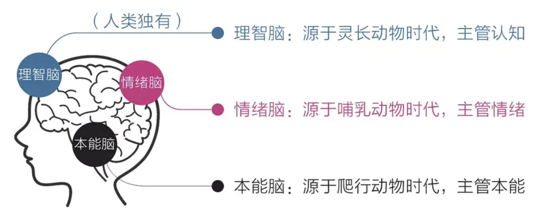 2024年短视频制作攻略:打造高质量内容的秘诀! 2024年短视频制作攻略:打造高质量内容的秘诀!