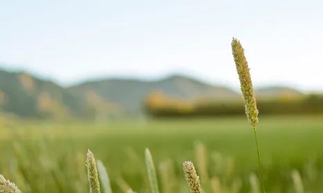 自媒体的收益模式 自媒体的收益模式