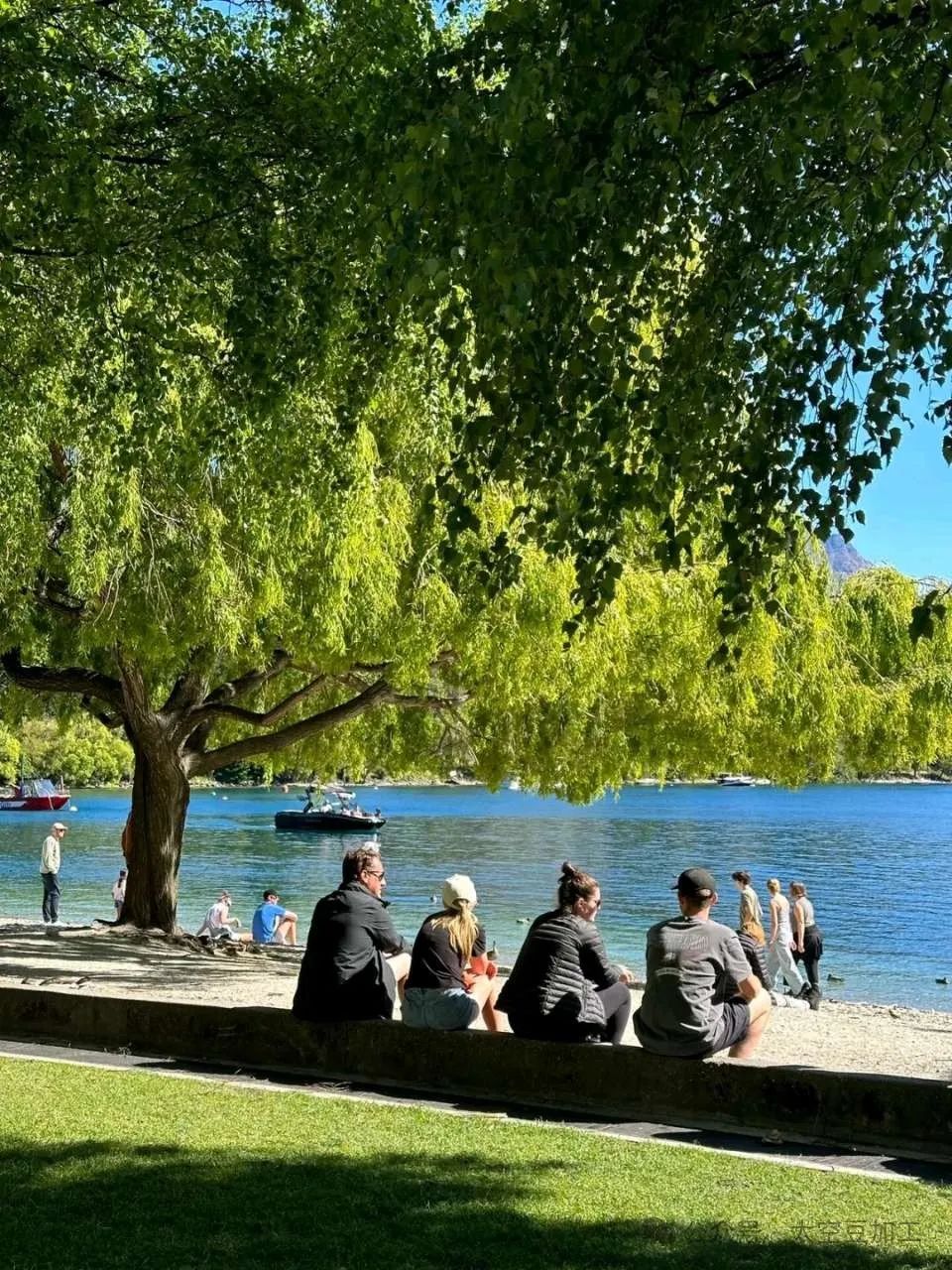 自媒体创业 自媒体创业