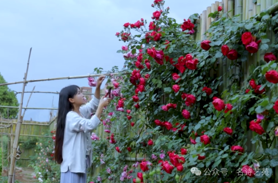 自媒体创业:从0到1的实战经验分享 自媒体创业:从0到1的实战经验分享