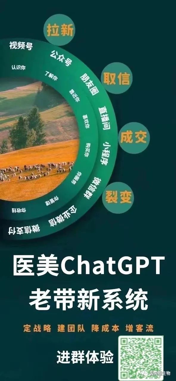 AI时代的隐私与安全挑战:在便利与保护之间求平衡 AI时代的隐私与安全挑战:在便利与保护之间求平衡