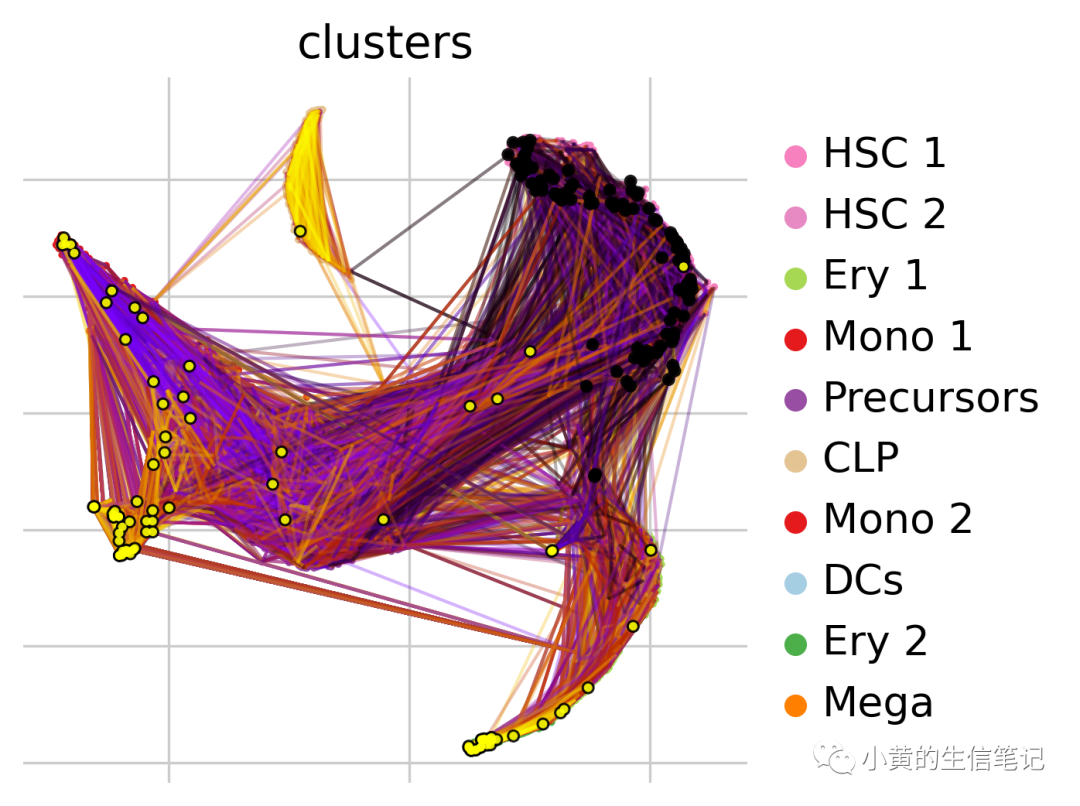 CellRank2教程2-快速入门 CellRank2教程2-快速入门