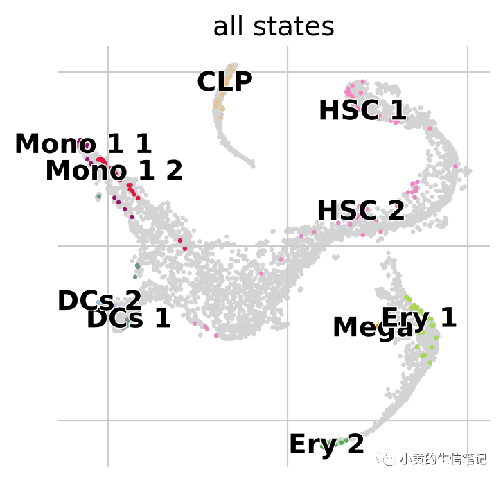 CellRank2教程2-快速入门 CellRank2教程2-快速入门