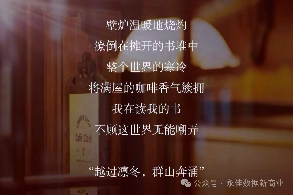 【营销数字化】大数据时代的电商营销:精准定位与个性化推荐 【营销数字化】大数据时代的电商营销:精准定位与个性化推荐