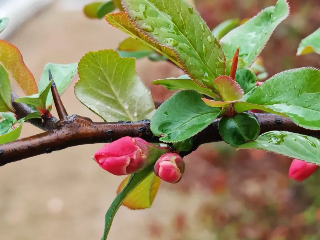 要不要使用AI工具创作? 要不要使用AI工具创作?