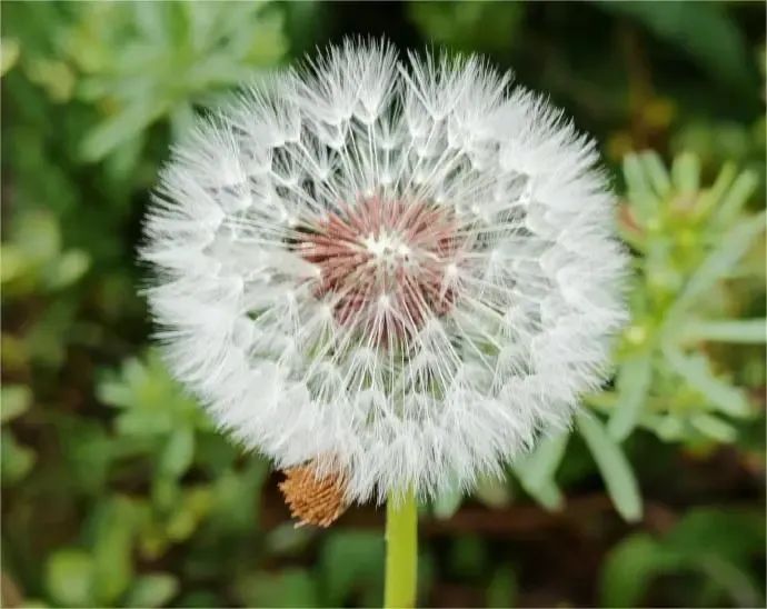 要不要使用AI工具创作? 要不要使用AI工具创作?