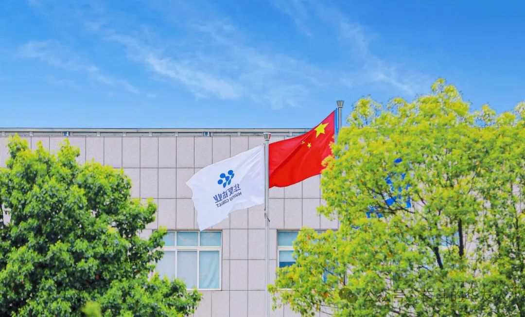 华友钴业入选“一带一路”最佳实践案例! 华友钴业入选“一带一路”最佳实践案例!