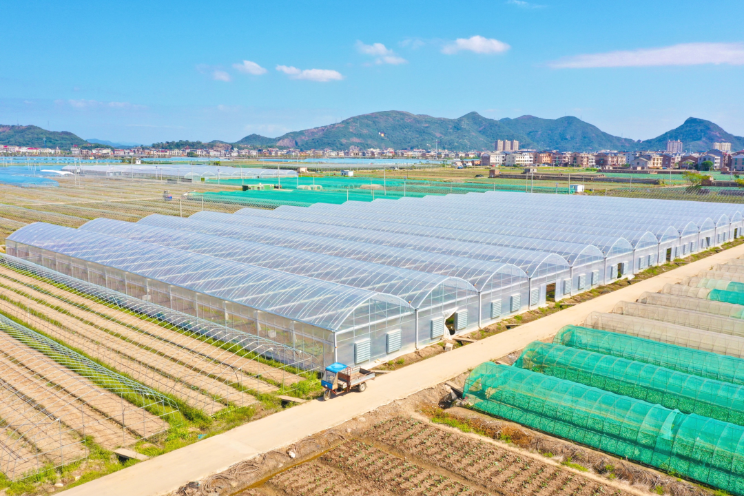 浙江公布乡村振兴最佳创新案例和最佳实践案例,台州两项! 浙江公布乡村振兴最佳创新案例和最佳实践案例,台州两项!