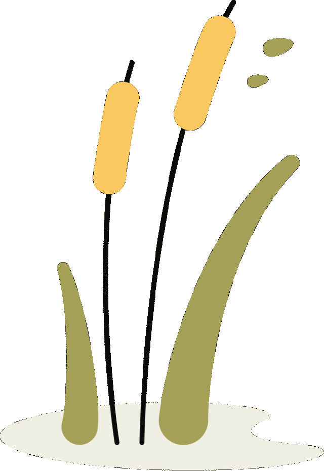 浙江公布乡村振兴最佳创新案例和最佳实践案例,台州两项! 浙江公布乡村振兴最佳创新案例和最佳实践案例,台州两项!