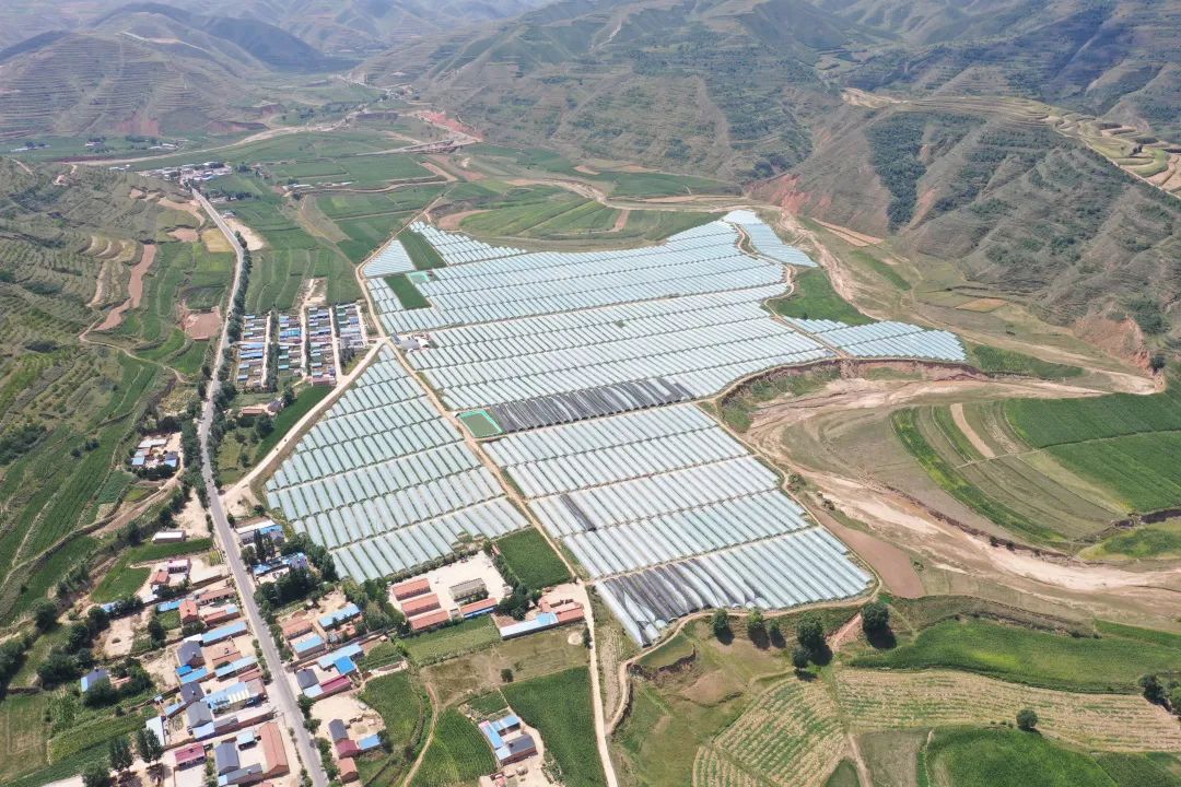 浙江公布乡村振兴最佳创新案例和最佳实践案例,台州两项! 浙江公布乡村振兴最佳创新案例和最佳实践案例,台州两项!