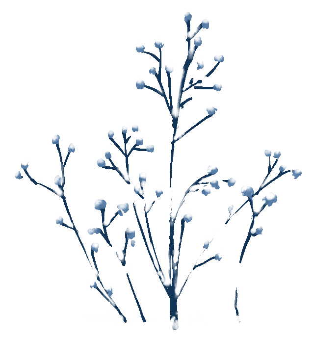 【外贸工具】AI绘画---Midjourney 【外贸工具】AI绘画---Midjourney